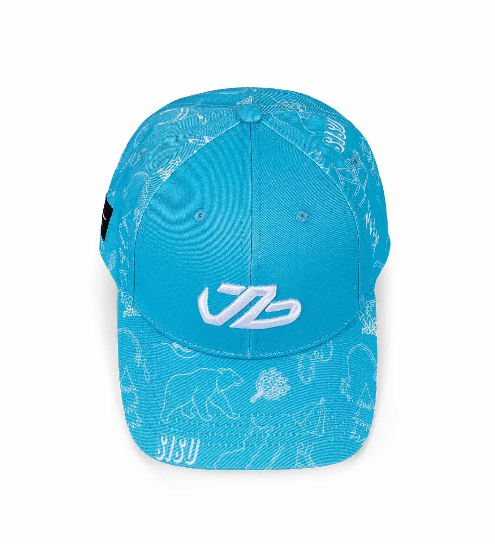 Cap #TeamBottas Cap #TeamBottas