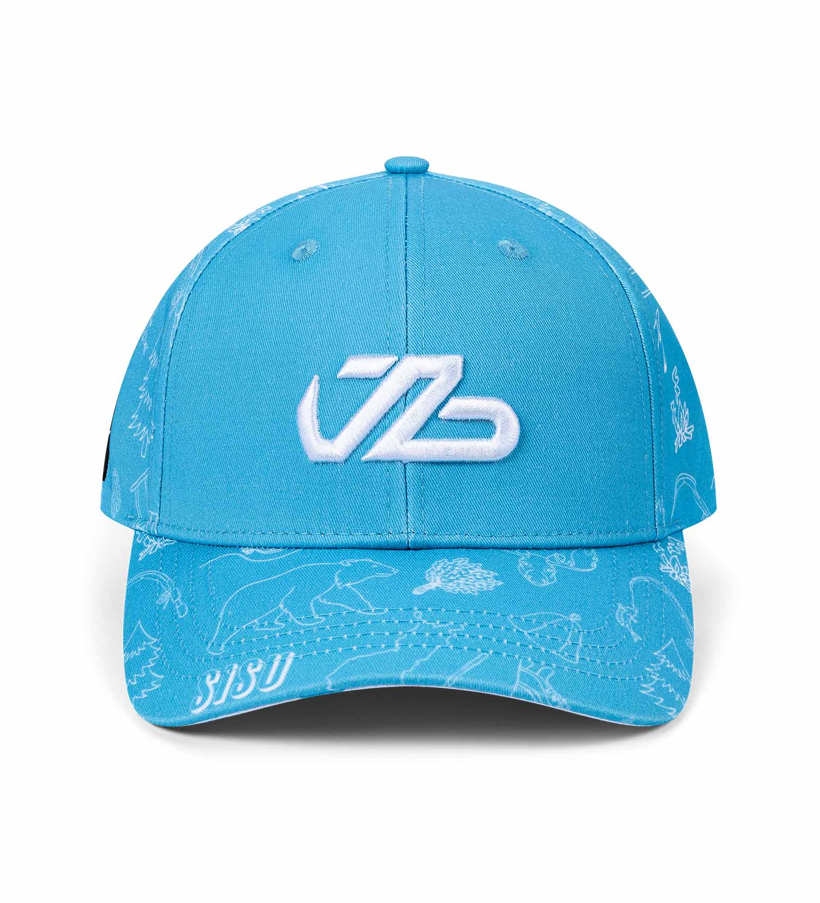 Cap #TeamBottas Cap #TeamBottas
