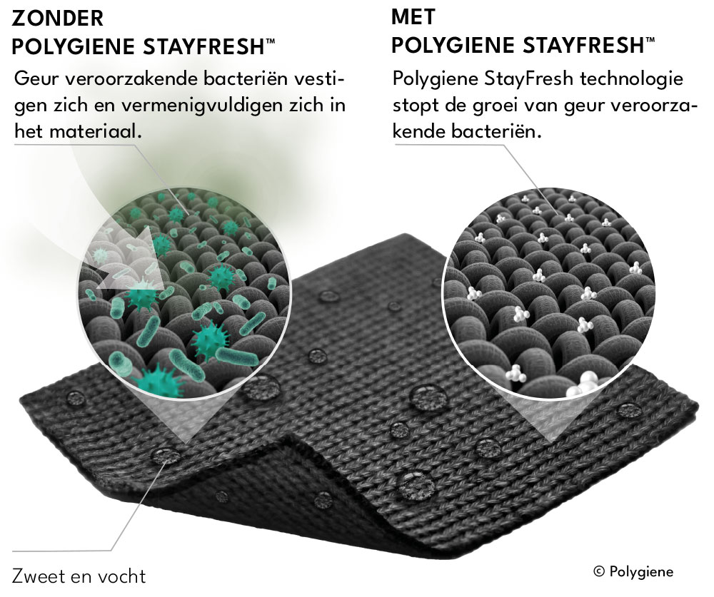 Polygiene StayFresh